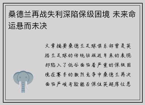 桑德兰再战失利深陷保级困境 未来命运悬而未决