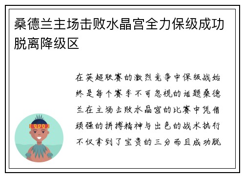 桑德兰主场击败水晶宫全力保级成功脱离降级区
