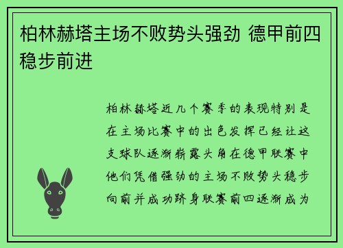 柏林赫塔主场不败势头强劲 德甲前四稳步前进